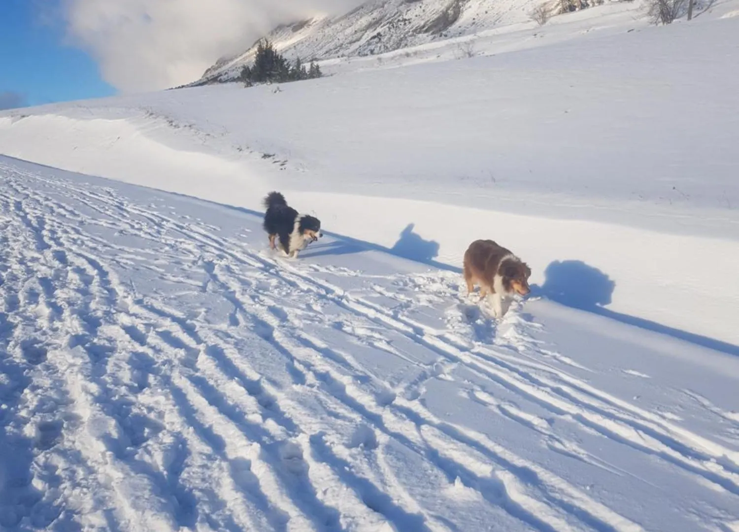 Les Chalets De Celine La Joue du Loup 0*,
