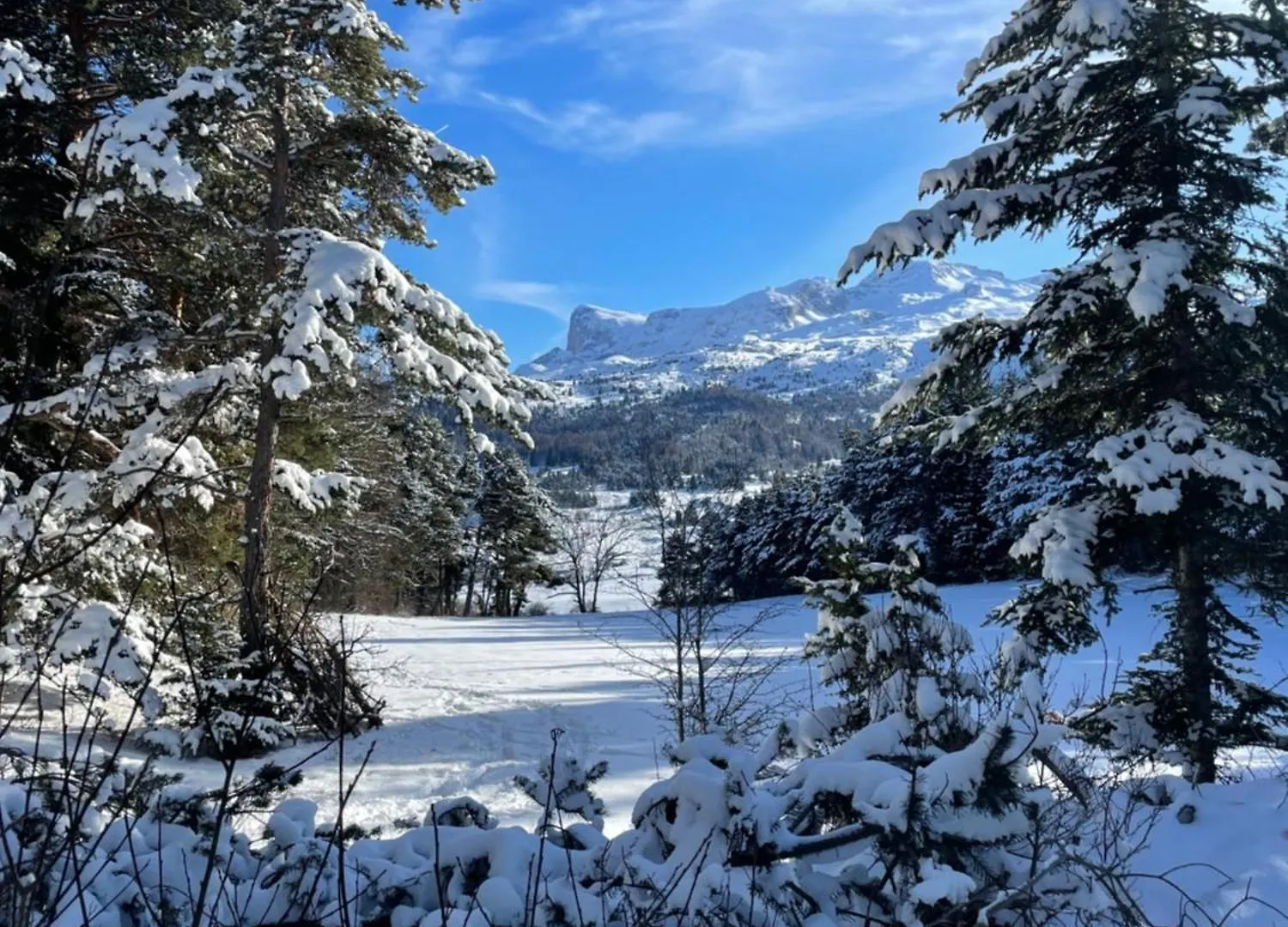 Les Chalets De Celine La Joue du Loup
